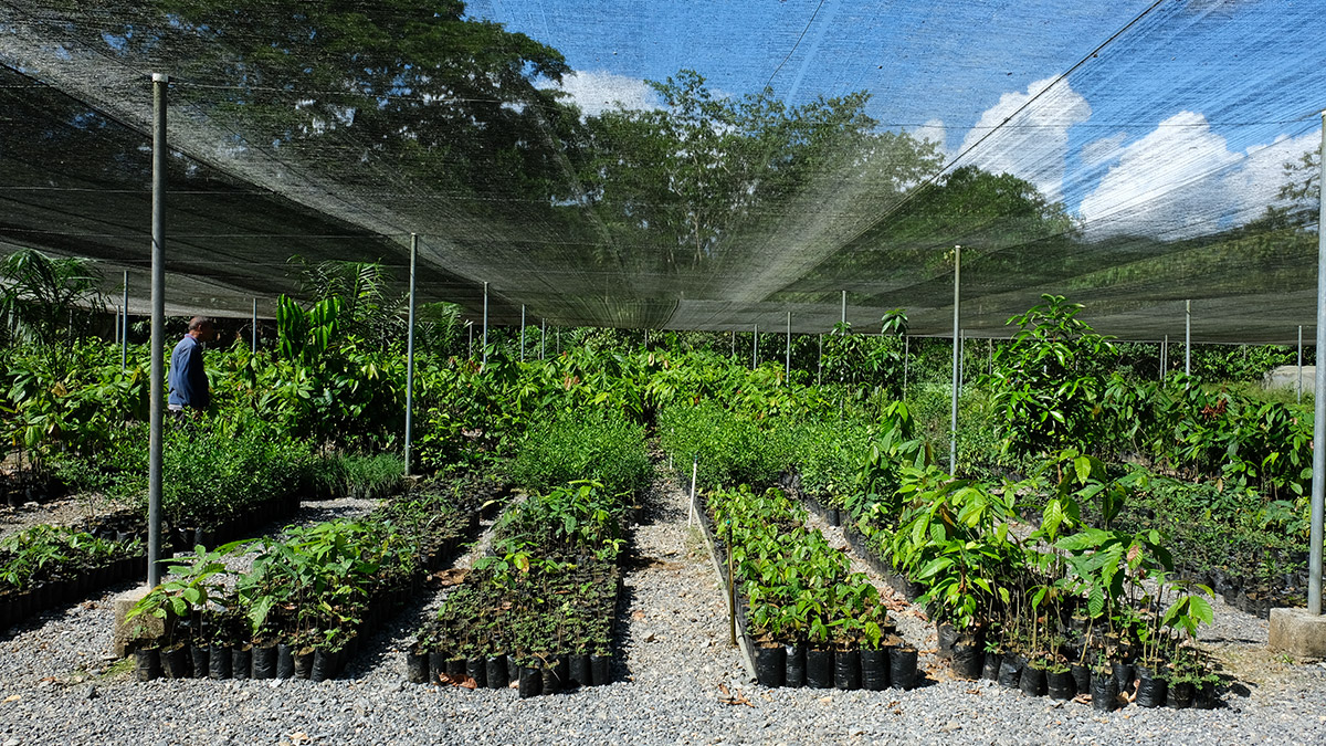 Vivero-2